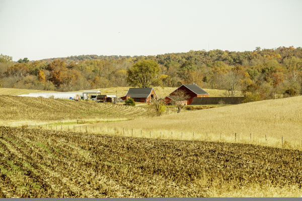 Fall Farm