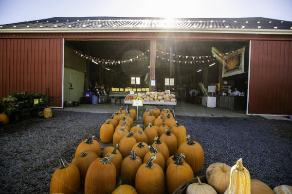 Sharp's at Waterford Farm