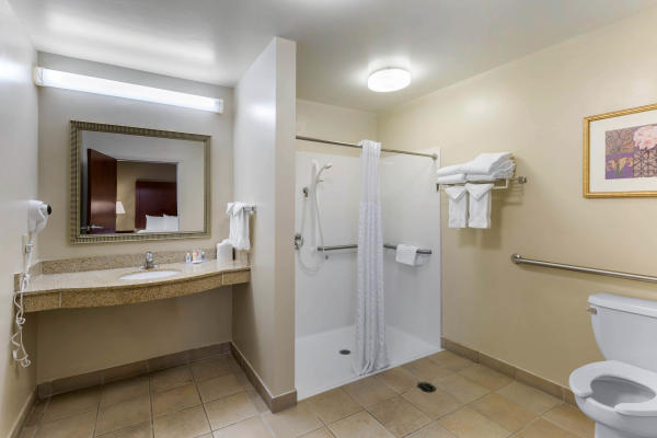 Comfort Suites Columbia Gateway in Elkridge