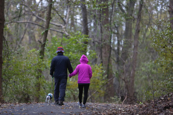Patapsco State Park