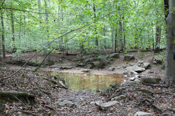 Patapsco Valley State Park