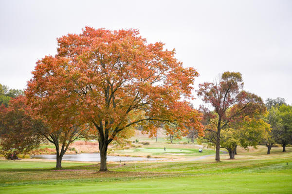 Turf Valley Fall