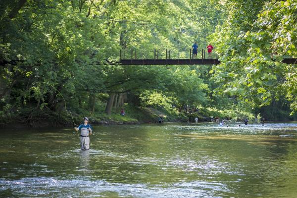 Fishing in the Patapsco
