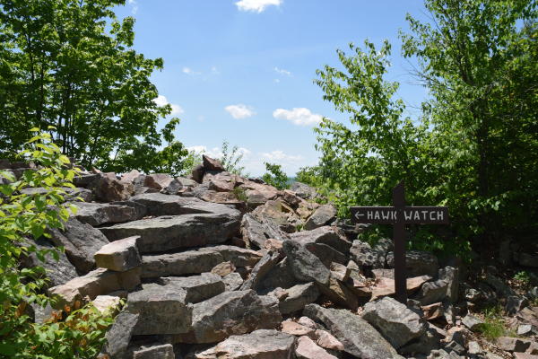 View of trail up to Hawk Watch along the Standing Stone Trail