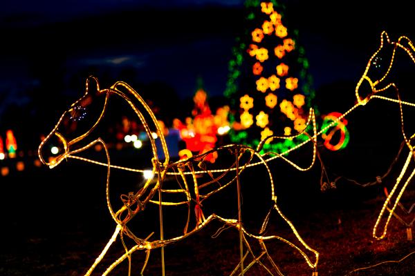 Galaxy of Lights horse-shaped light figure with lights in the background