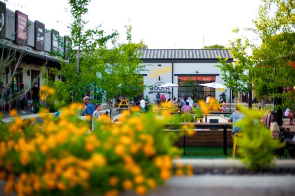 Orange flowers framing people eating in the courtyard of Stovehouse