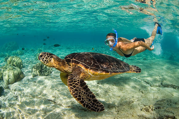 Step Away from the Ordinary for Privacy, Adventure, and Romance - Swimming with Sea Turtles