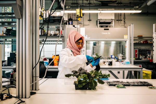 Person working in a laboratory