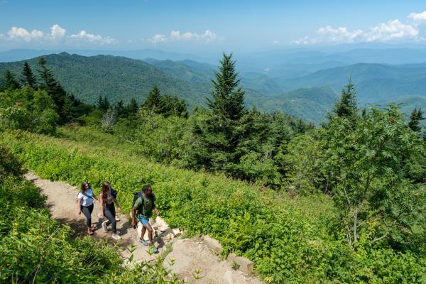 Waterrock Knob - Courtesy Jackson TDA - 06