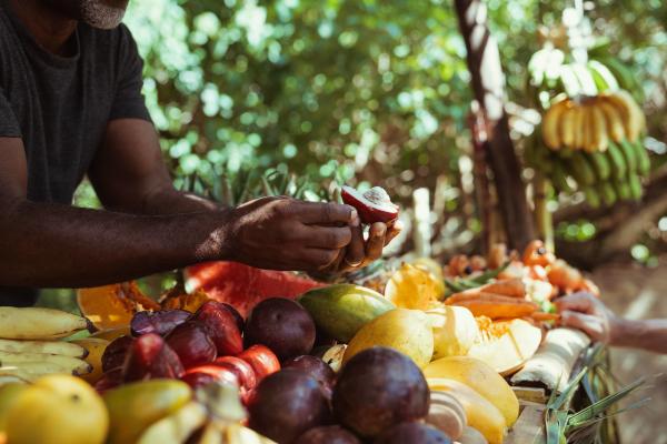 Local fruits & vegetables