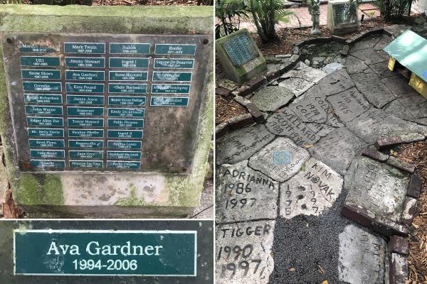 Gravestones with the names of cats and dates inscribed at the Hemingway Estate in Key West