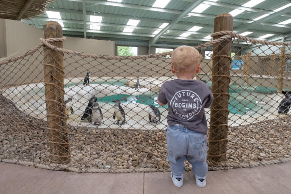 Tanganyika Wildlife Park