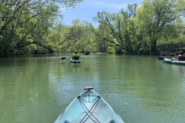 View From a Kayak In Holston River Park In Knoxville, TN