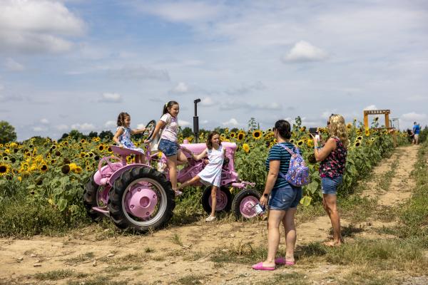 Lakeland Orchard & Cidery in Scott Township, PA