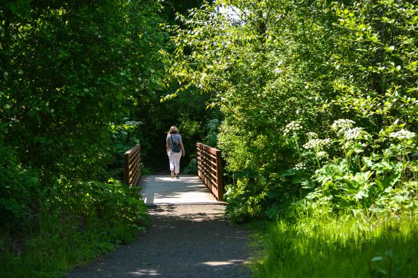 Reopening Lane County Eugene Cascades Oregon Coast