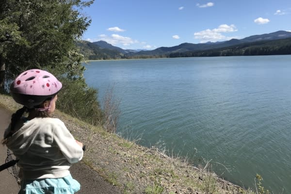 Gazing at Dorena Reservoir by Taj Morgan
