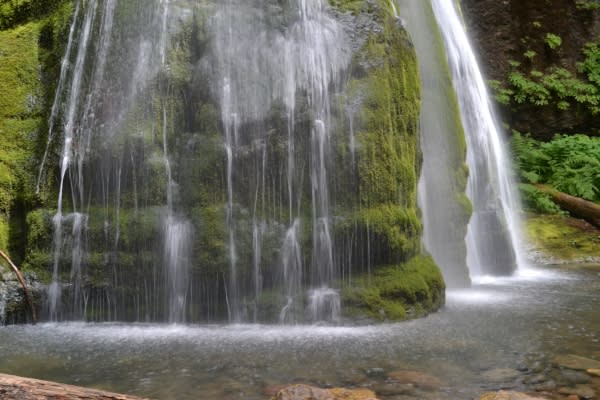 Spirit Falls Cottage Grove S Hidden Gem
