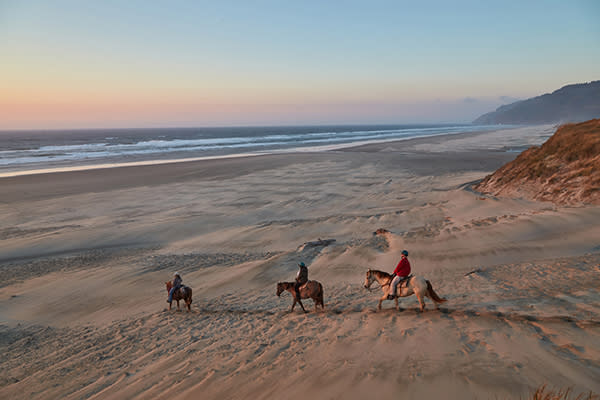 C&M Stables Horseback Riding on Beach