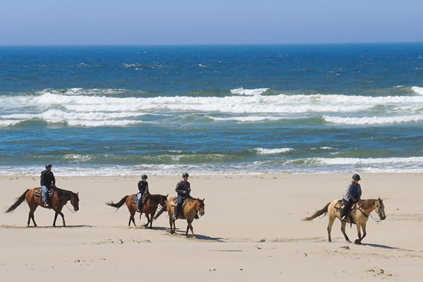 C&M Stables Horseback Riding on Beach
