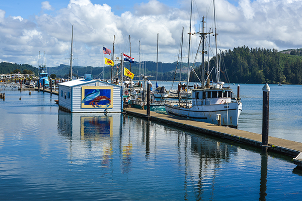 Novelli's on the Docks by Melanie Griffin