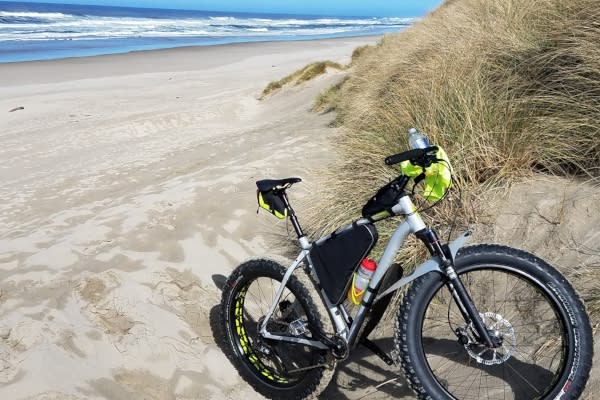 Fatboy Bike in the Sand Dunes by Scott Gamron