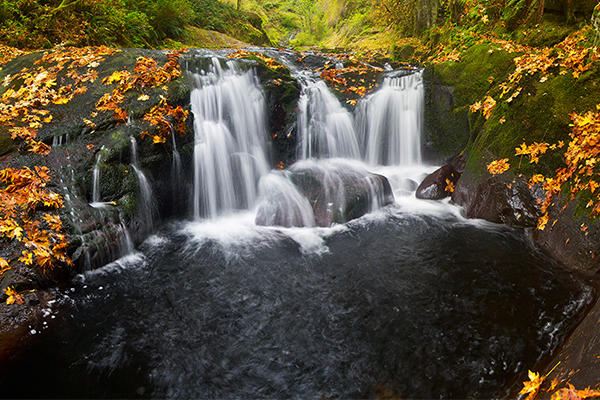 Sweet Creek Falls in Autumn by David Putzier