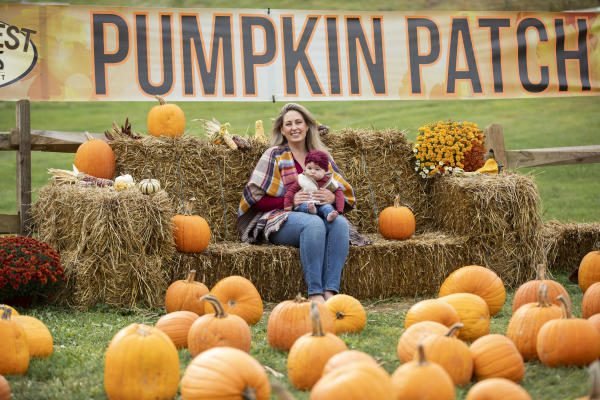 Pumpkin Patch Photos