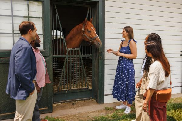 Horse Farm Tours