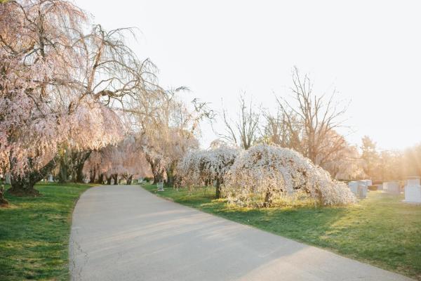 Lexington Cemetery, Amani Nichae