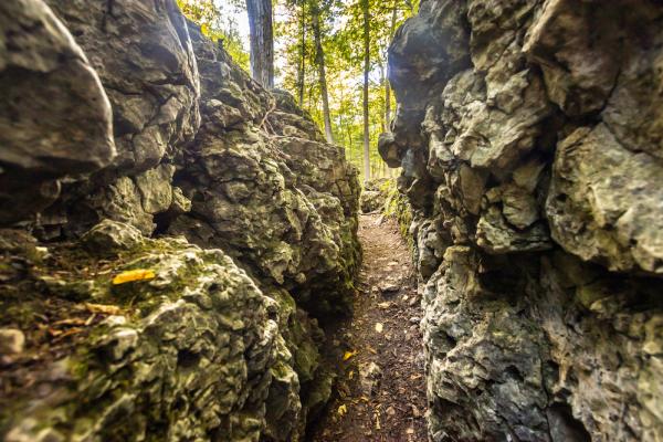 rock path