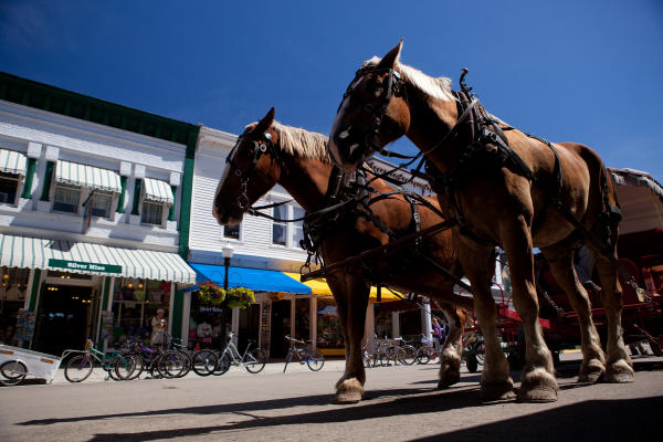 Mackinac-Island-Carriage-Tour horses
