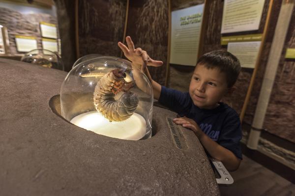 What are the Flint Hills?  Flint Hills Discovery Center, KS