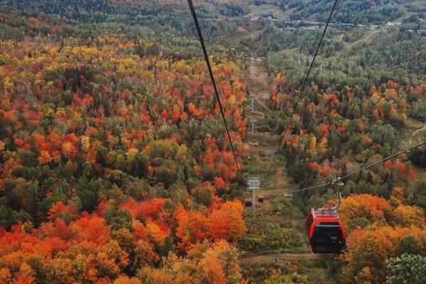 DNR color Lutsen