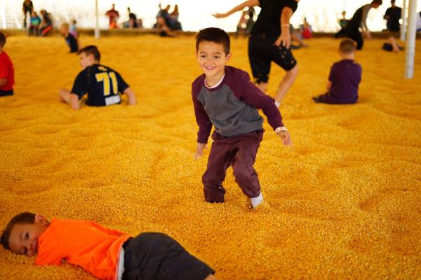 Kids in a corn seed pit