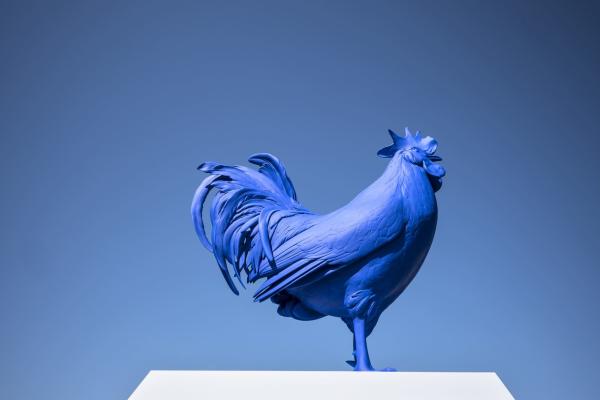 Sculpture of giant blue rooster