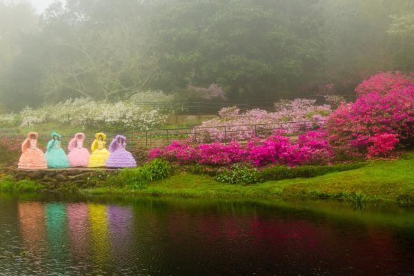 The Azalea Trail Maids at Bellingrath Gardens