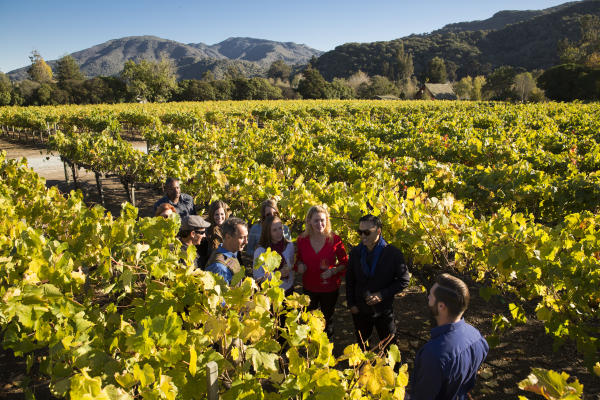 Folktale-Vineyards