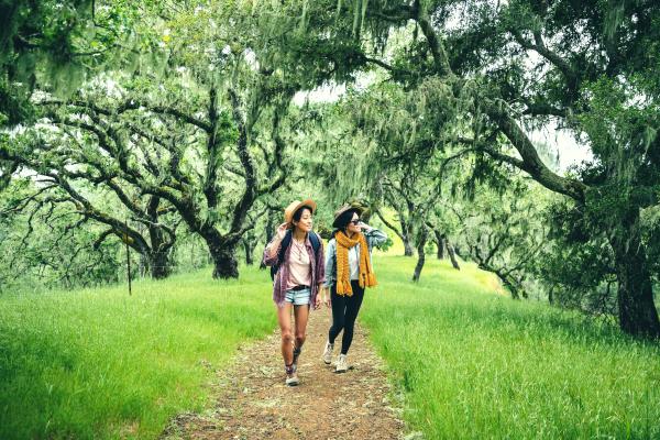 Hiking in Napa Valley
