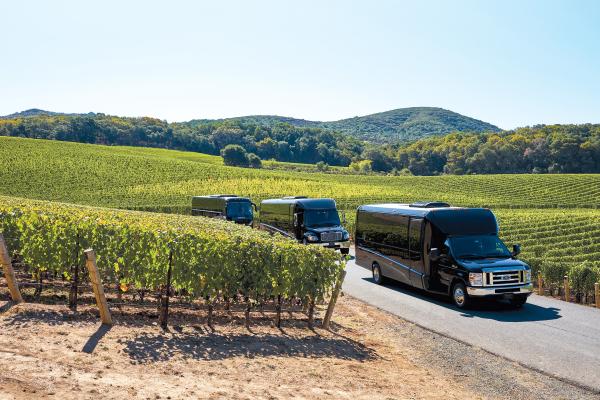 shuttle vans in a vineyard from Beau Wine Tours
