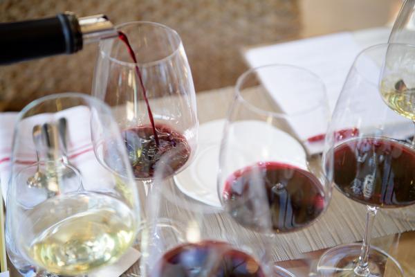 Napa Valley Wine Tasting