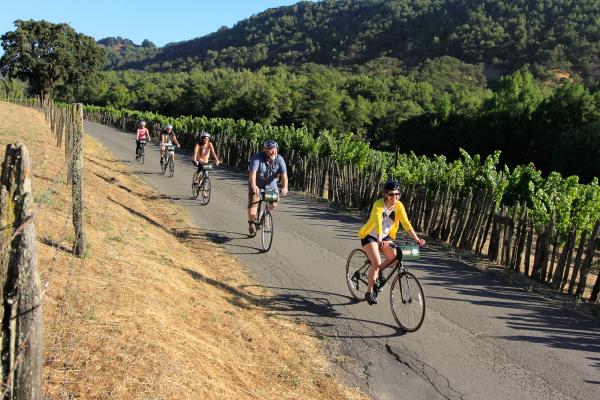 Visitors biking along a paved path through Napa Valley vineyards with hills in the background.