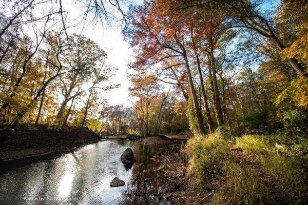 Tar River Trail