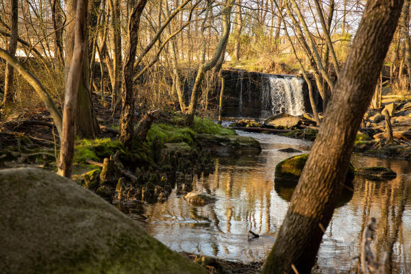 Waterfall & stream
