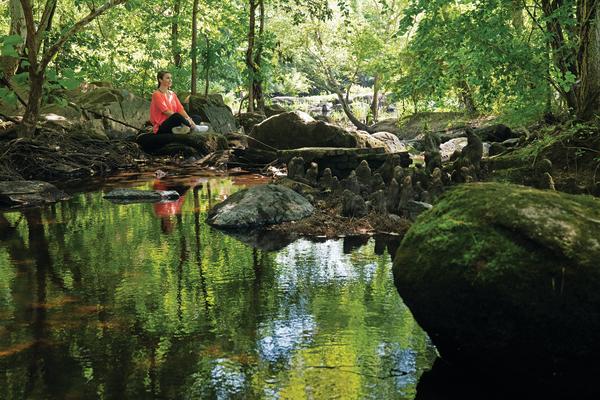 Tar River Trail falls area