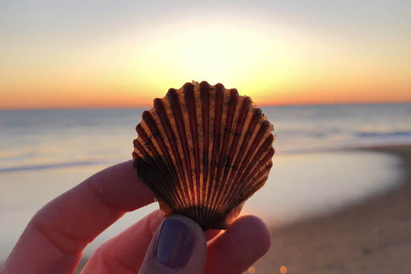 Seashell Beach Travel Persona Quiz
