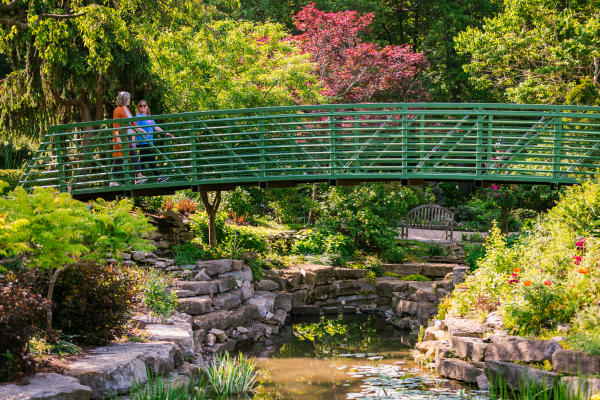 Free Things To Do - Arboretum