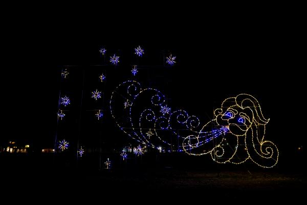 Christmas Lights - Santa