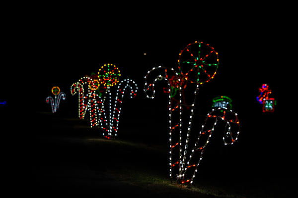 Christmas in the Park Lights