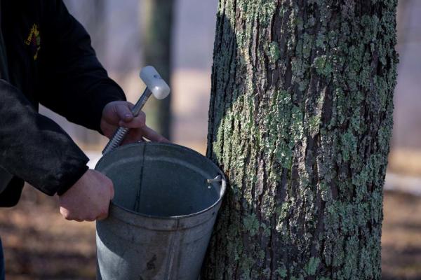 15672_dced_maple_farm_social_07