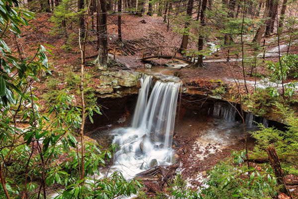 Adam Falls
